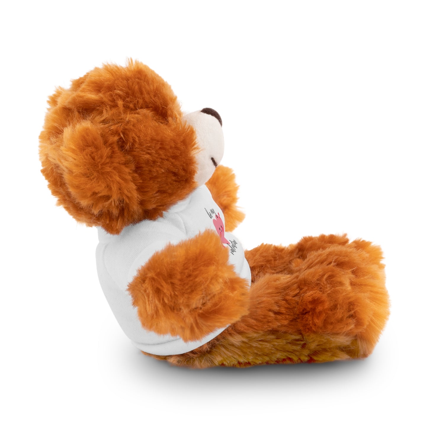 Stuffed Bear with Tee